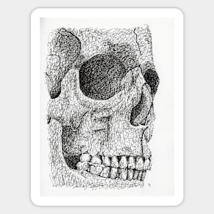 Skull Sticker